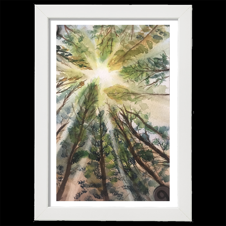 Soleil à travers les arbres